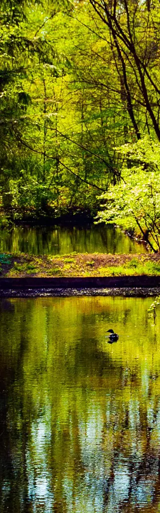 Spreewald UNESCO Biosphärenreservat – Digital Detox im Wald